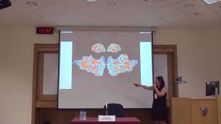 Celebrity Individual Differences in Object VS Spatial Visualization Profile