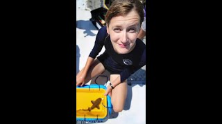 Scuba Diving Magazine Names Dr. Catherine Macdonald as August 2023 Sea Hero