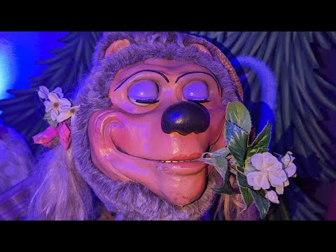 The Hard Luck Bears It S Been So Long