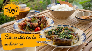 Vlog 3 Niềm vui nho nhỏ bên mảnh vườn và bữa cơm chiều đạm bạc