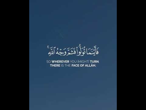 قرآن مع مترجم انجليزي    