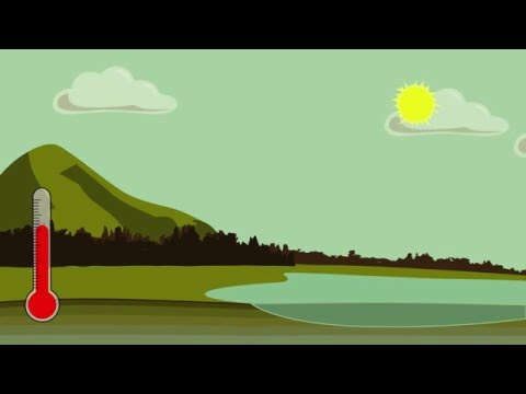 Video: Kā Veidojas Sasalstošs Lietus