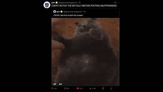 Famous The  #memes #gif #twitter Profile