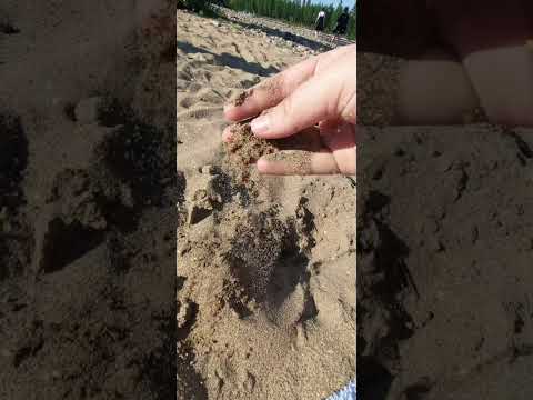 река Чульман, нерюнгри,