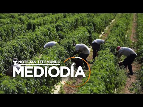 Video: ¿Qué productos se fabrican en Florida?