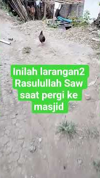 inilah larangan2 rasulullah saat pergi ke masjid #motivasidiri #doamustajab