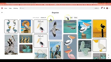 Pinterest Boards & Sections Recap