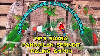 MP3 SUARA AMPUH PANGGILAN DENAK BURUNG SERINDIT UNTUK MEMIKAT DAN MEMANCING SERINDIT MUDA BERBUNYI