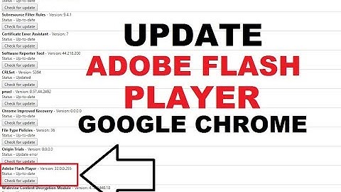 How to Enable or Update Adobe Flash Player on Google Chrome Browser
