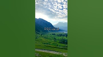 واتس اب قران كريم القارئ ياسر الدوسري من سورة (آل عمران)