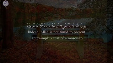 سورة البقرة من الآية ٢٦ إلى الآية ٢٨