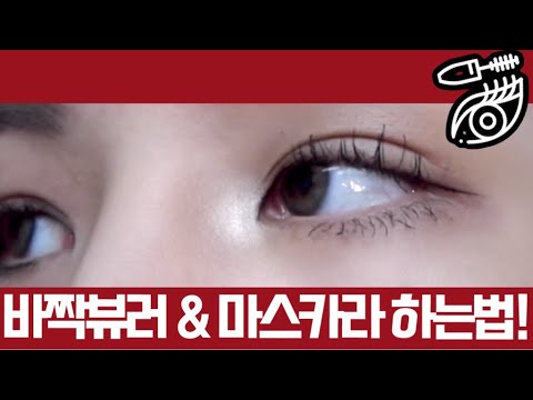 바짝 뷰러&마스카라 하는 법! (ft.마스카라 집착러의 최애템) 처짐X 볼륨O | 뷰러 주의사항 | 뷰러 고르는 법 | MASCARA MAKEUP TUTORIAL | 재유JEYU