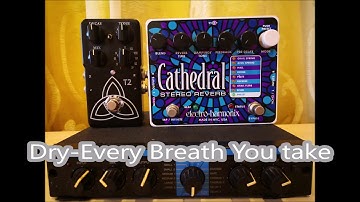 Reverb Pedal Test on Fingerstyle!!!! (Lexicon LXP-1, TC-T2, EHX-Cathedral)