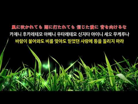 간빠이(乾杯} / 나가부치쯔요시(ながぶち つよし)