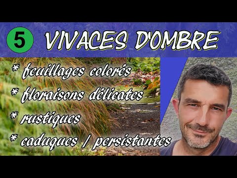 Vidéo: Tâches de jardinage pour le sud - Corvées d'avril dans un jardin du sud