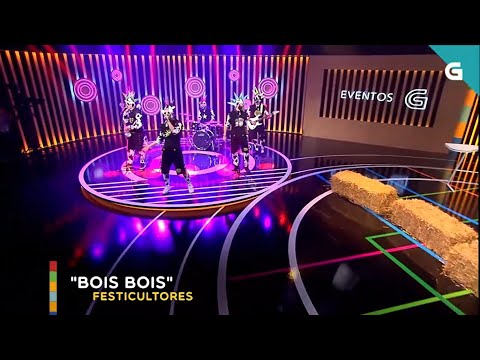 Festicultores Troupe - Bois Bois Bois, eu quero o chuletón