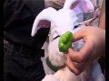 Milky The Bunny at the London Toy Fair 2011