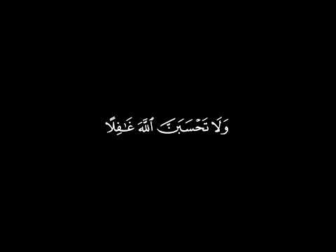 ولاتحسبن الله غافلا عما يعمل الظالمون بصوت القارئ ماهر المعيقلي شاشة سوداء بدون حقوق