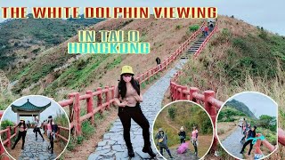 The white dolphin viewing  point in TAI   O/ Analyn and friends in hk vlog