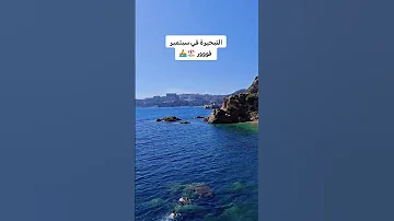 شاطئ ميرامار بسكيكدة الشعب الصيني ماله حل مشاهدات تيك توك Green Explore Fyb 