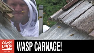 How to Kill a Wasp Nest