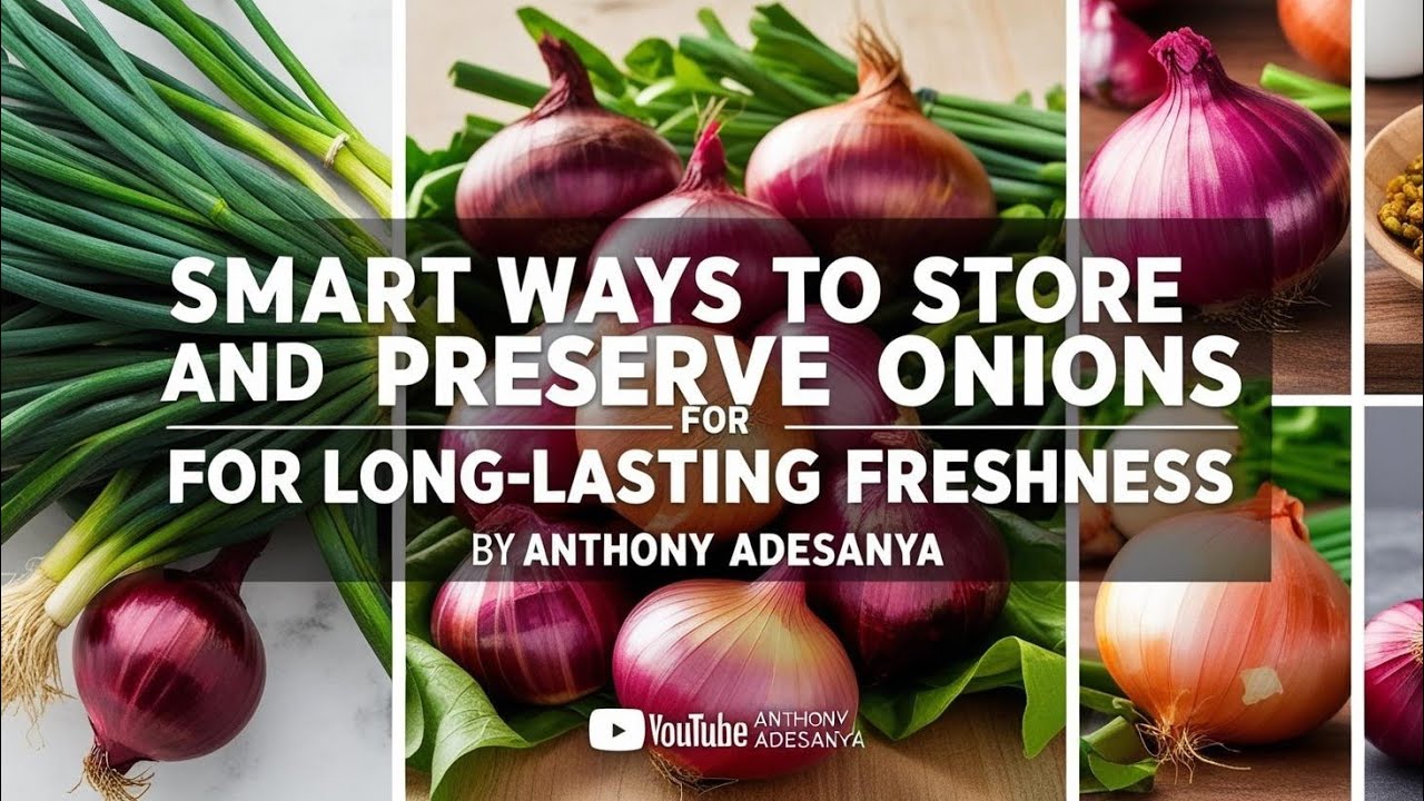 Smart Ways to Store and Preserve Onions for Long-Lasting Freshness #onion_price_today
