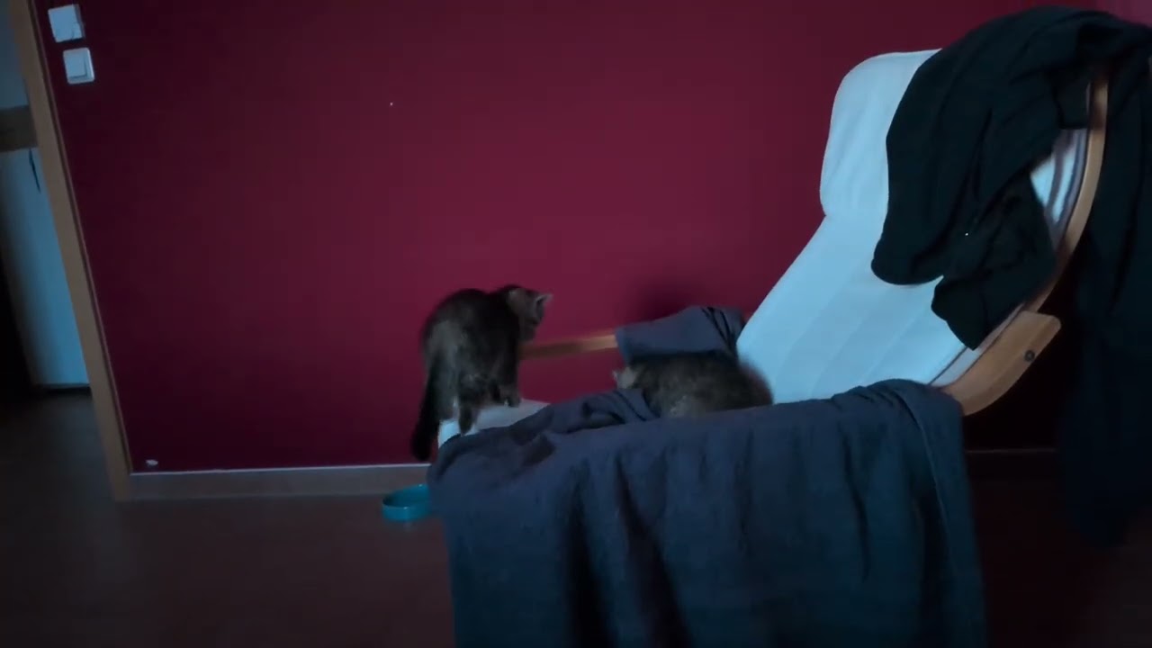 Danke für die ruhige Nacht 