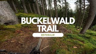 Buckelwald Trail Bikepark Reiteralm Schladming Austria 🇦🇹full run POV RAW