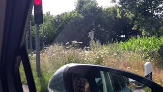 Download Lagu Intro Germany (Part 1) MP3