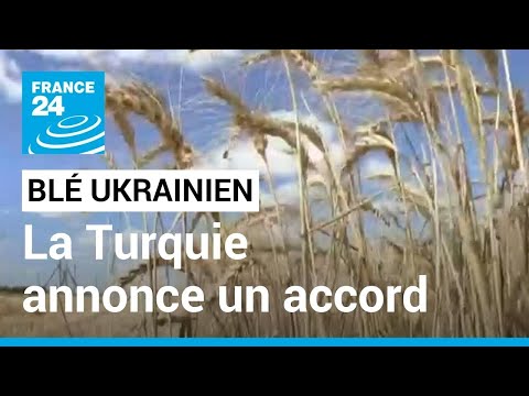 Exportation de blé ukrainien : vers un accord entre Kiev et Moscou sous l'égide de la Turquie