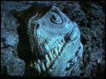Beginning of video
