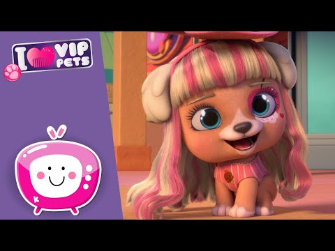 დაბადების დღის წვეულება 🎂🥳 VIP PETS 🌈 ვიაპი ფეთს 🌈 ახალი ეპიზოდი 💇🏼 მულტფილმები ქართულად
