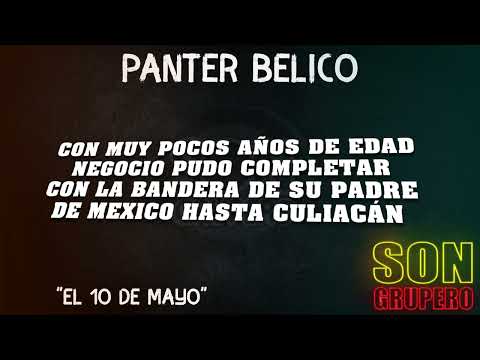Panter Belico -
