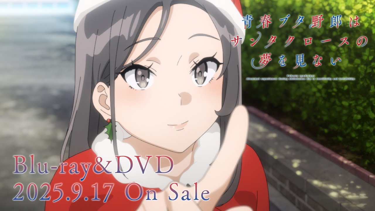 青ブタ DVD【サトゥーさま専用】 青ブタFes - 青春ブタ野郎はカラフルアルバムの夢を見ない