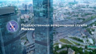 Государственная ветеринарная служба Москвы. Презентационный фильм (2023 г.).