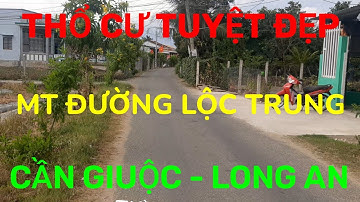(Ms 103♥️Đã Bán) Đất Thổ Cư Tuyệt Đẹp, MT Đường Lộc Trung Cần Giuộc, Long An | Bđs Long An