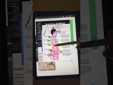 لايف رقم 12 الطفيليات وطاقة الانسان