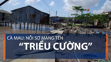 Cà Mau: nỗi sợ mang tên “triều cường” | VTC1