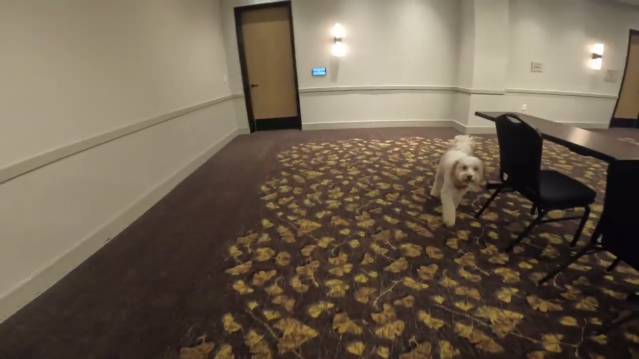 Sawyer - Elite (Duluth, Ga/Dec. 17, 2025