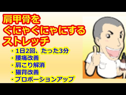 【肩甲骨をぐにゃぐにゃに柔らかくするストレッチ】肩こり、腰痛、猫背改善に効果的！