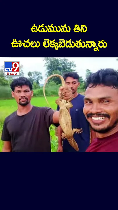 ఉడుమును తిని ఊచలు లెక్కబెడుతున్నారు - TV9