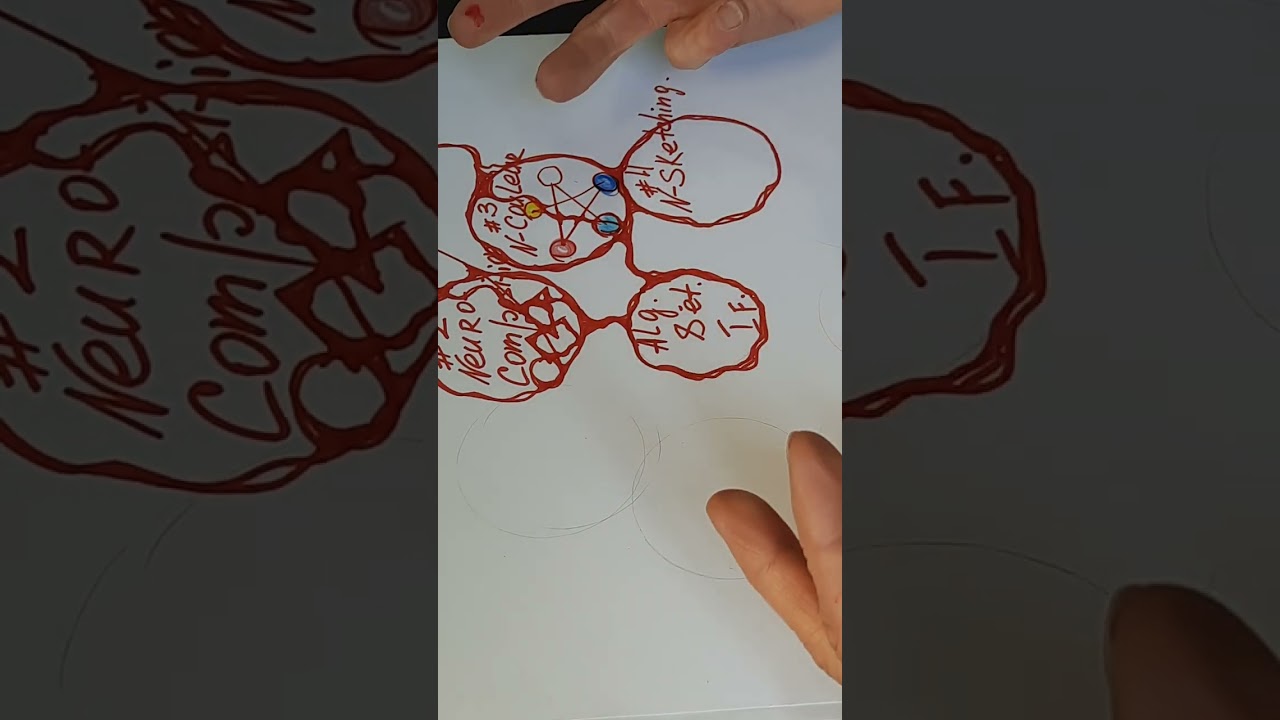 Les Algorithme en NeuroGraphica