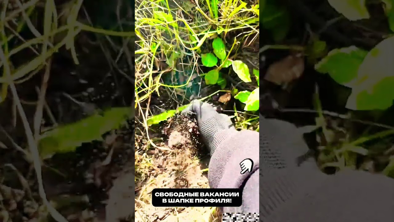 📦 Раскладывай посылки и получай за это БОНУСЫ! Ссылка в шапке профиля!