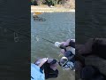 【AREA TROUT Fishing】POGO♯Gachi Brown（MUKAI FISHING）2022.12.27