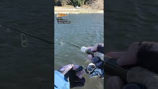 【AREA TROUT Fishing】POGO♯Gachi Brown（MUKAI FISHING）2022.12.27