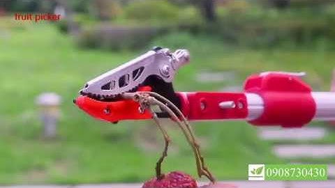 Kéo cắt cành trên cao - hái quả cưa nhánh đa năng tại Dungcunongnghiep.vn