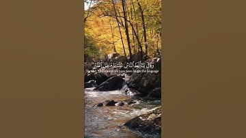 لنتمشى ونستمع🎧🚶‍♂️… اكتب شيء تؤجر عليه… #قرآن_كريم #قران #ذكر_لله #سورة_النمل #ياسرالدوسري