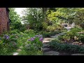 A flat garden ideas  rhs chelsea flower show 2024 viral chelseaflowershow chelseaflowershow2024
