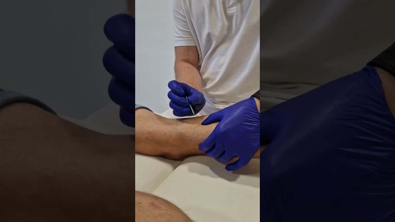 Croatian gymnastic representative Aurel Benović, Marin Marinović Pt, OMT