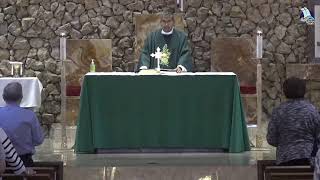 Septimo Domingo del Tiempo Ordinario